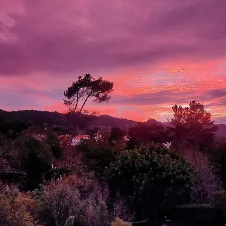 Hortense - Quiet House In * Sintra